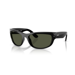 Ray ban 0RB2289