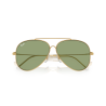 Ray ban 0RBR0101S