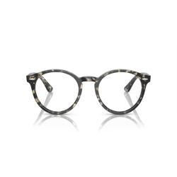 Ray ban 0RX7680V