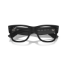 Ray ban 0RX7840V