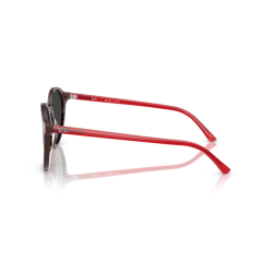 Ray ban 0RB2230