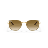 Ray ban 0RB3548
