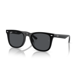 Ray ban 0RB4420