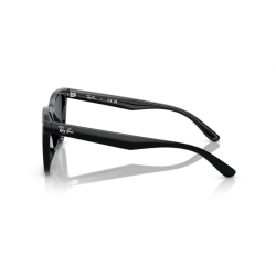 Ray ban 0RB4420