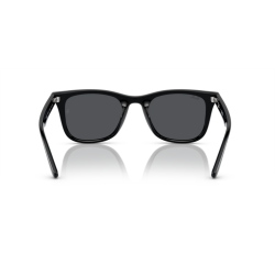 Ray ban 0RB4420