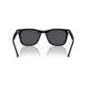 Ray ban 0RB4420
