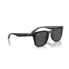 Ray ban 0RB4420