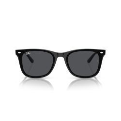 Ray ban 0RB4420