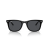 Ray ban 0RB4420