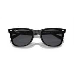Ray ban 0RB4420