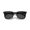 Ray ban 0RB4420