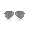 Ray Ban 0RBR0101S Reverse