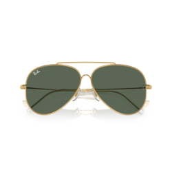 Ray ban 0RBR0101S - Aviator reverse