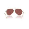 Ray ban 0RBR0101S - Aviator reverse