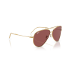 Ray ban 0RBR0101S - Aviator reverse